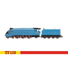 Hornby TT120 TT3007M Mallard